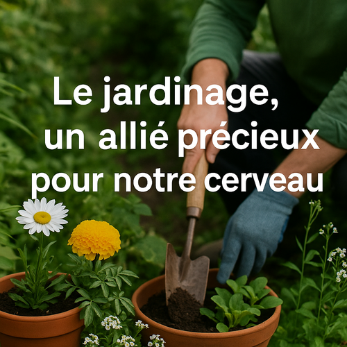 Le jardinage, un allié précieux pour notre cerveau